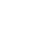 The Iron Yard